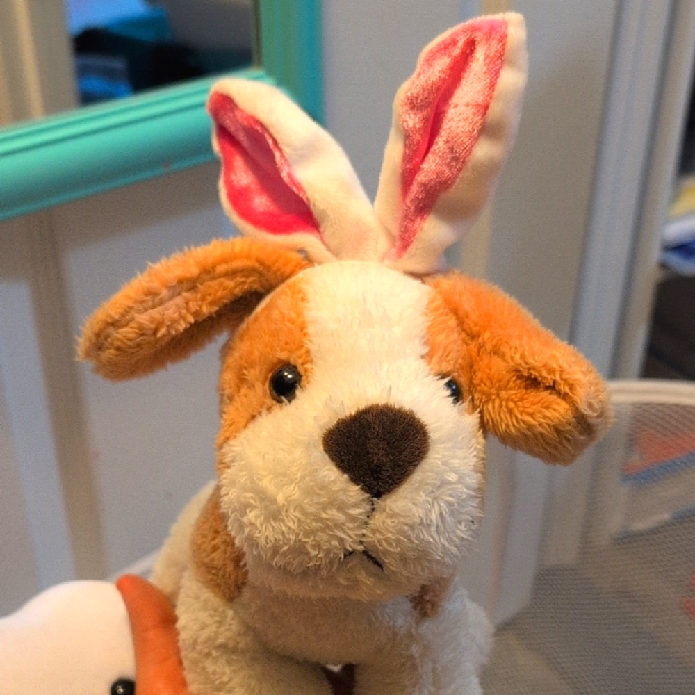 Plush Bunny-Eared Dog Toy